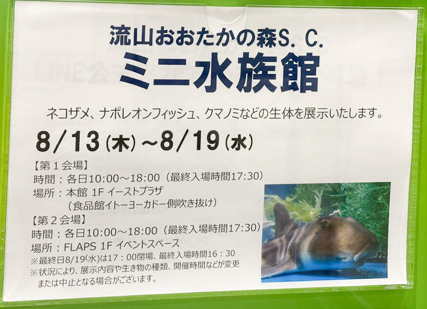 8/13（木）〜8/19（水）流山おおたかの森S.C.にて、「ミニ水族館」が